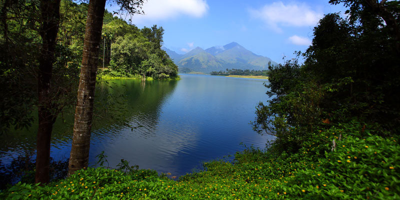 Banasura hill view Cottage