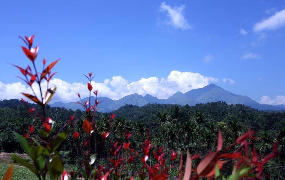 View From Balcony   - Heritage Villa